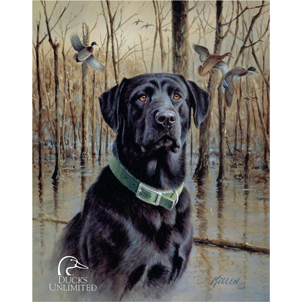 Artistic "Ducks Unlimited" sign showcasing a black Labrador in a marsh setting, with ducks in flight and a serene background.