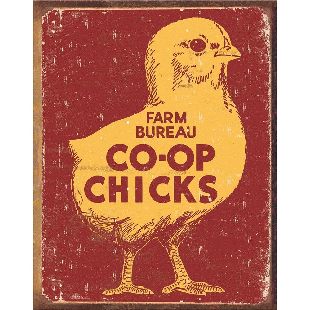 Vintage-style sign featuring a large chick illustration with bold text reading "Farm Bureau Co-Op Chicks."