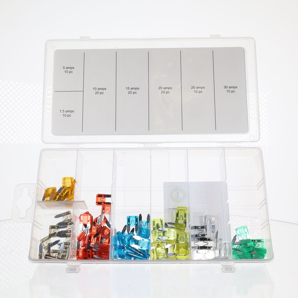 100pc Mini Auto Fuse Assortment - 16022