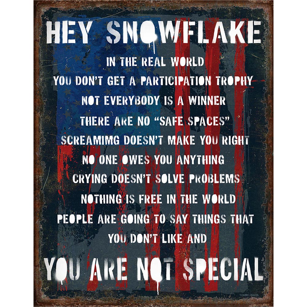 Rustic sign with bold text reading "Hey Snowflake" and "You Are Not Special," featuring an American flag background.