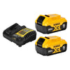 Dewalt 20v MAX 2 Pack 5ah Batteries and Charger - DCB205-2C